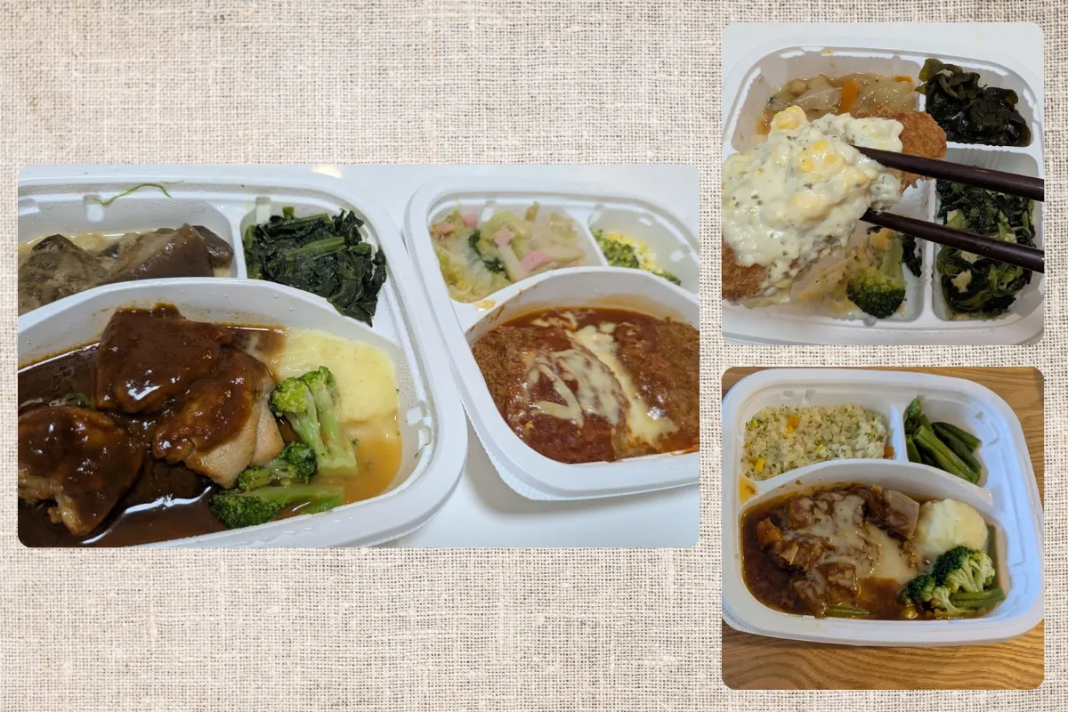 実際に注文したライフミールのお弁当