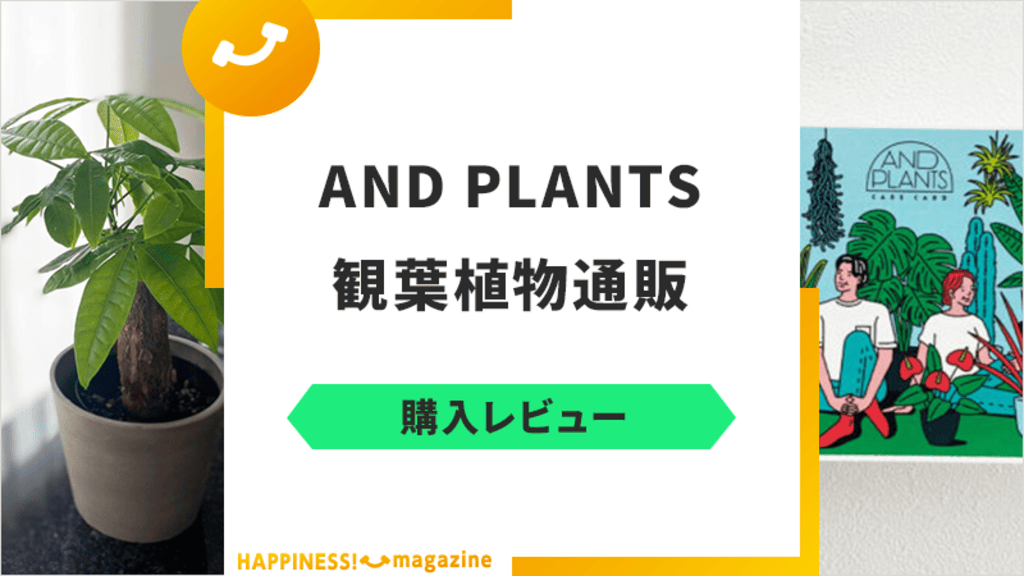 【人気の観葉植物】AND PLANTSの口コミは？パキラを購入レビュー！