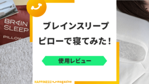 【使用レビュー】ブレインスリープピローで寝てみた！悪い口コミも一緒に検証