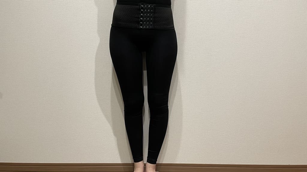 ペルシー_着画