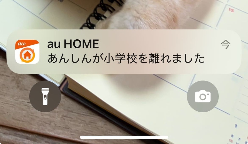 あんしんウォッチャー_通知