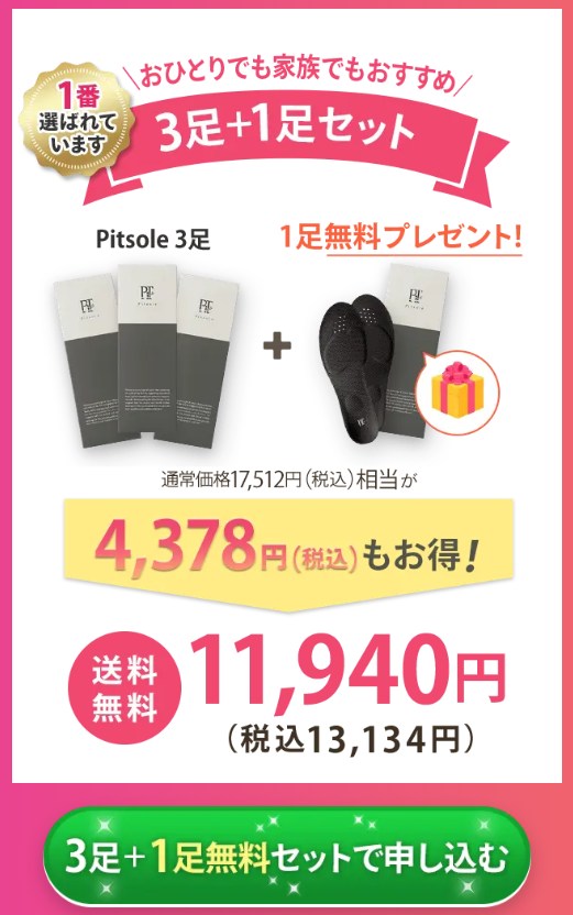 ピットソール