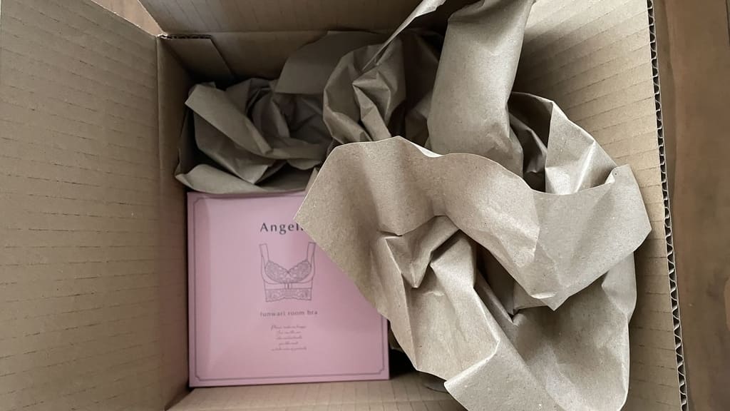 ふんわりルームブラ 梱包物