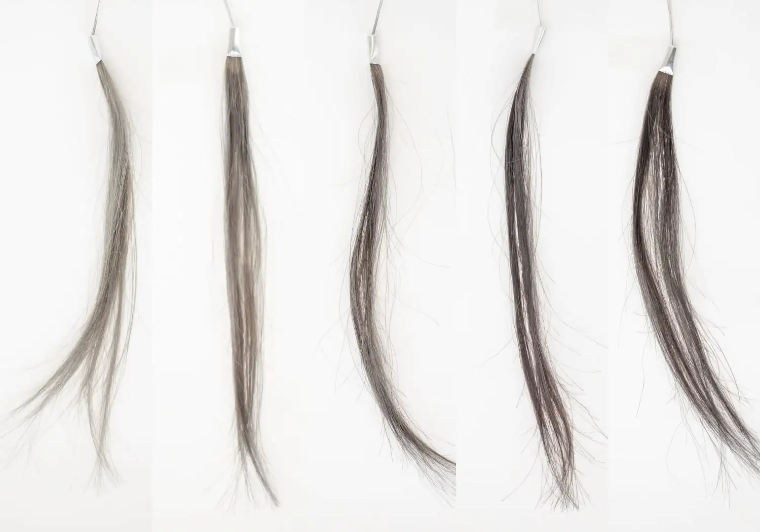 RISHIRIA Furel(リシリアフレル)染まり具合