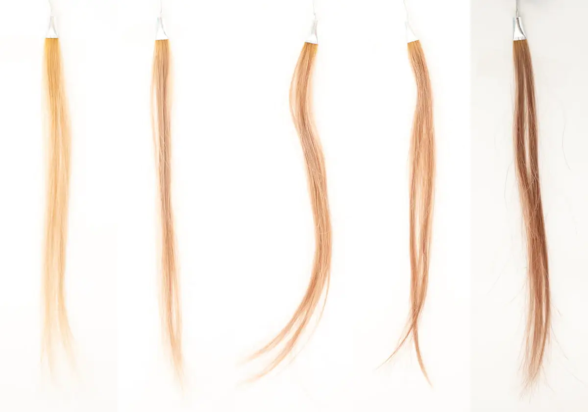 ジムジルカラーシャンプー染まり具合