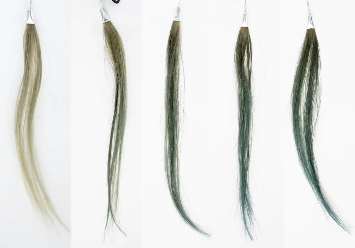 KUROSIA(クローシア) クリームシャンプー染まり具合