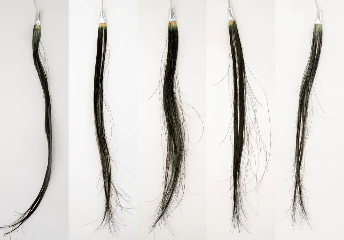 Kuromore（クロモア）クリームシャンプー染まり具合