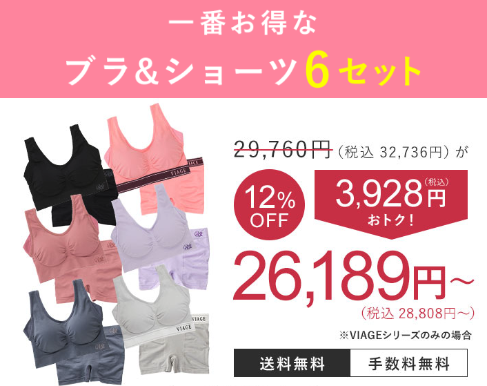 ヴィアージュナイトブラの商品