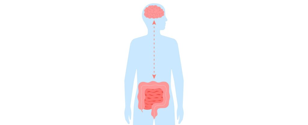 腸と体との不思議な関係