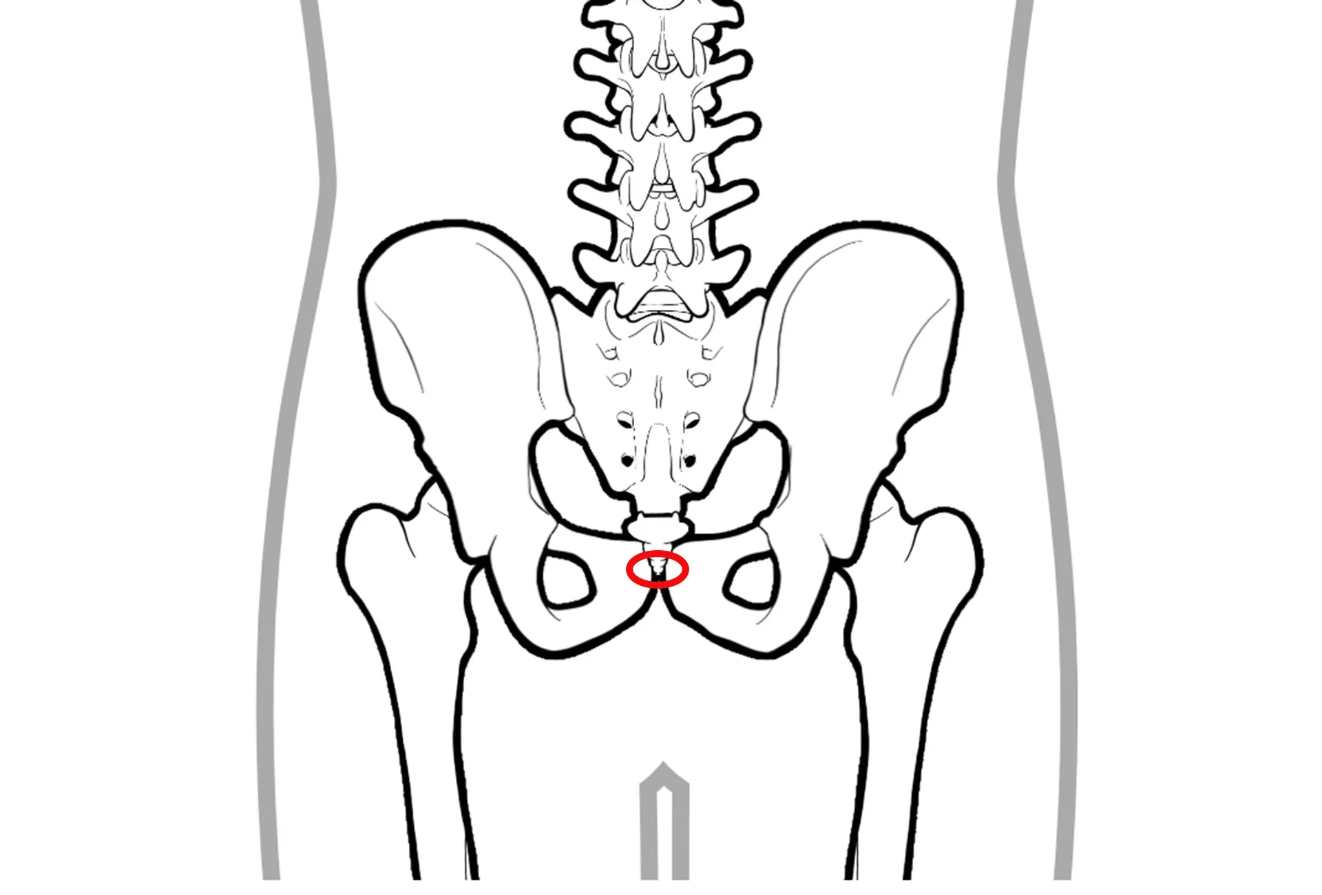 尾てい骨とは何ですか?