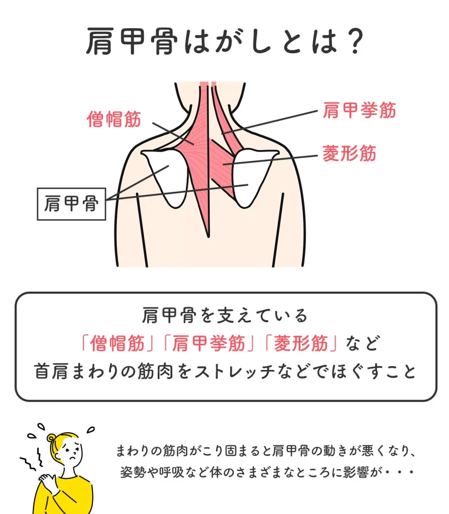 かた楽プラス 肩甲骨はがし 器具 - その他