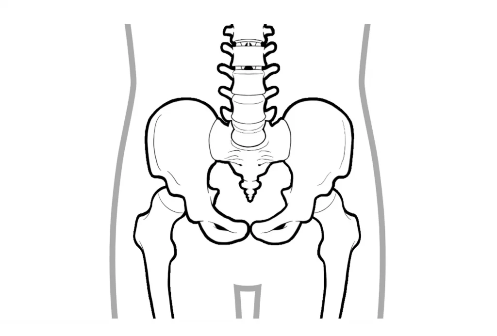 股関節は両脚の付け根にあり、骨盤と大腿骨を繋いでいる関節